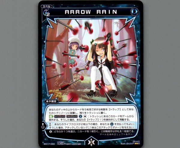 画像1: ARROW RAIN (1)