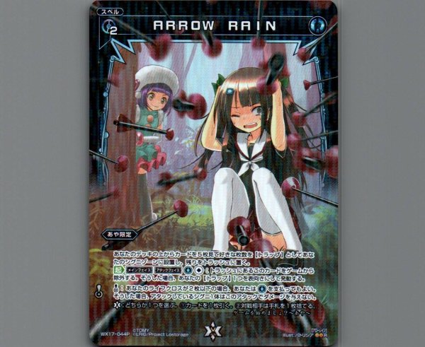 画像1: ARROW RAIN(パラ) (1)