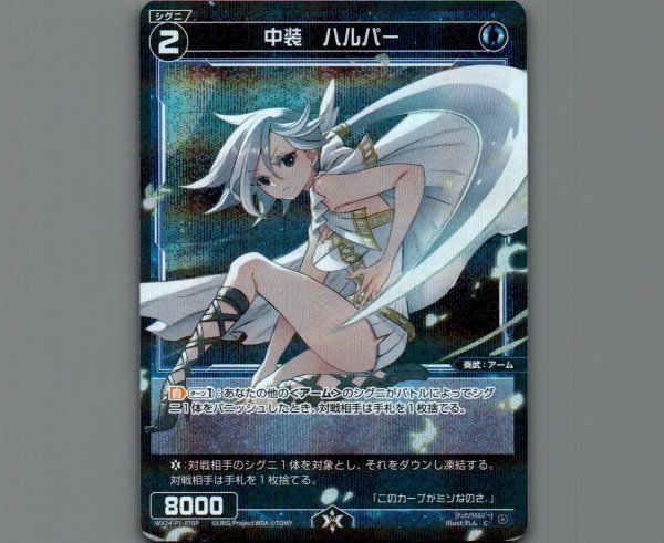 画像1: 中装　ハルパー(パラ) (1)
