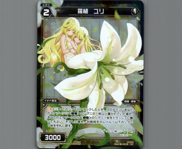画像1: 羅植 ユリ(パラ) (1)